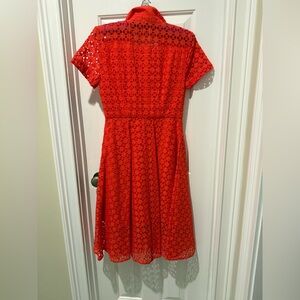 Lace Spring Dress